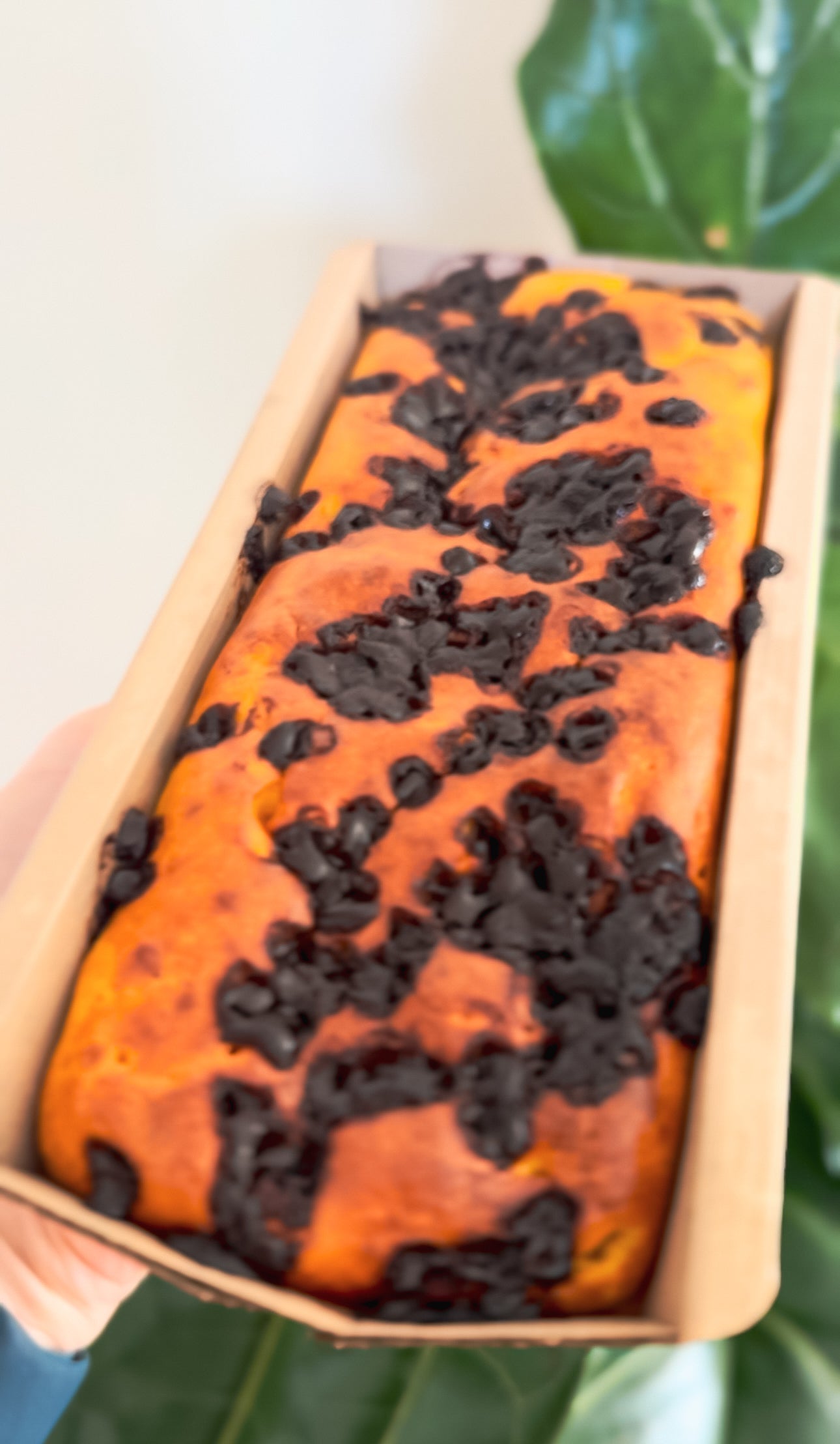 Protein Carrot Cake with Chocolate Chips