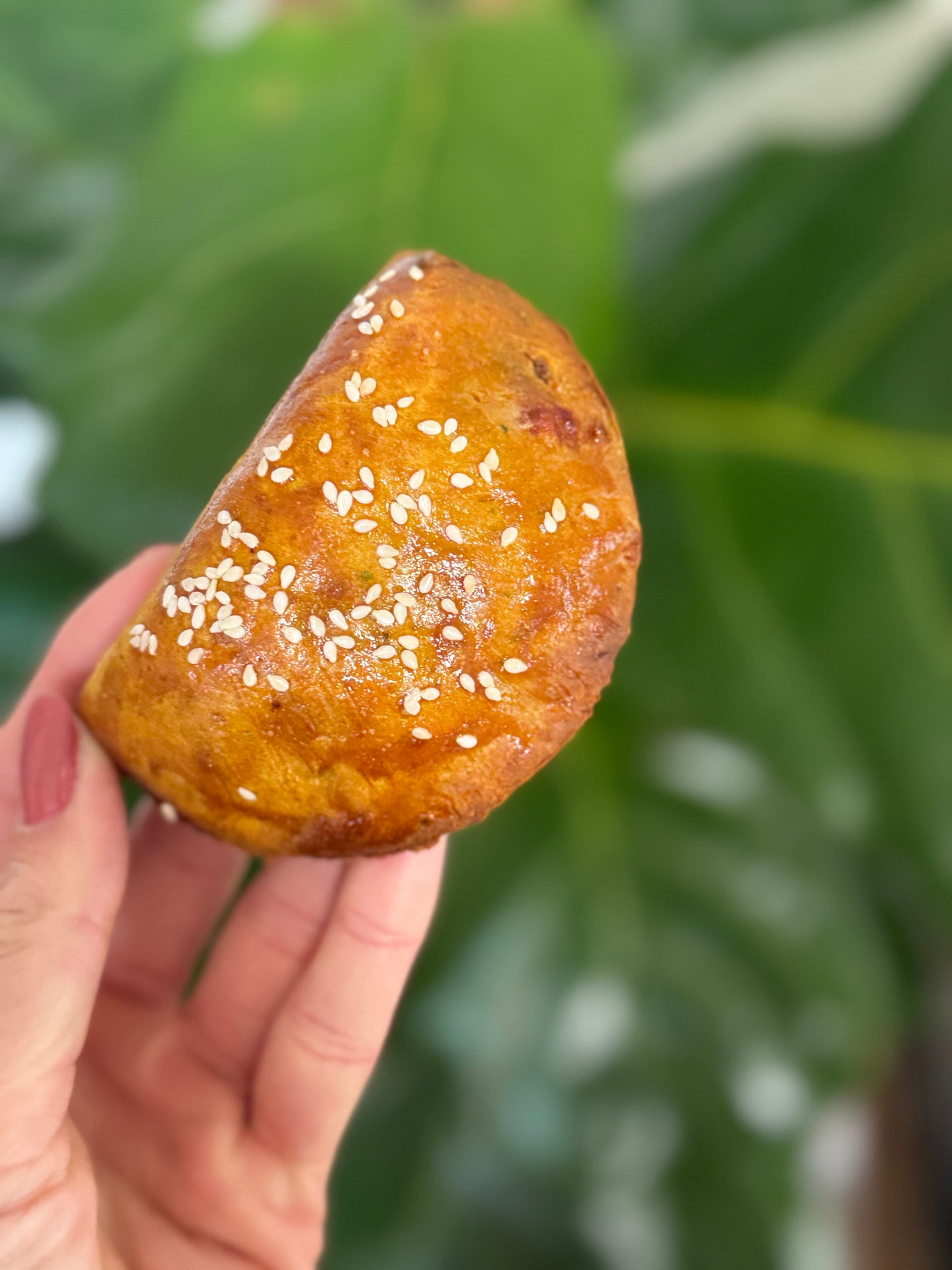 Beef Oatmeal Pastry