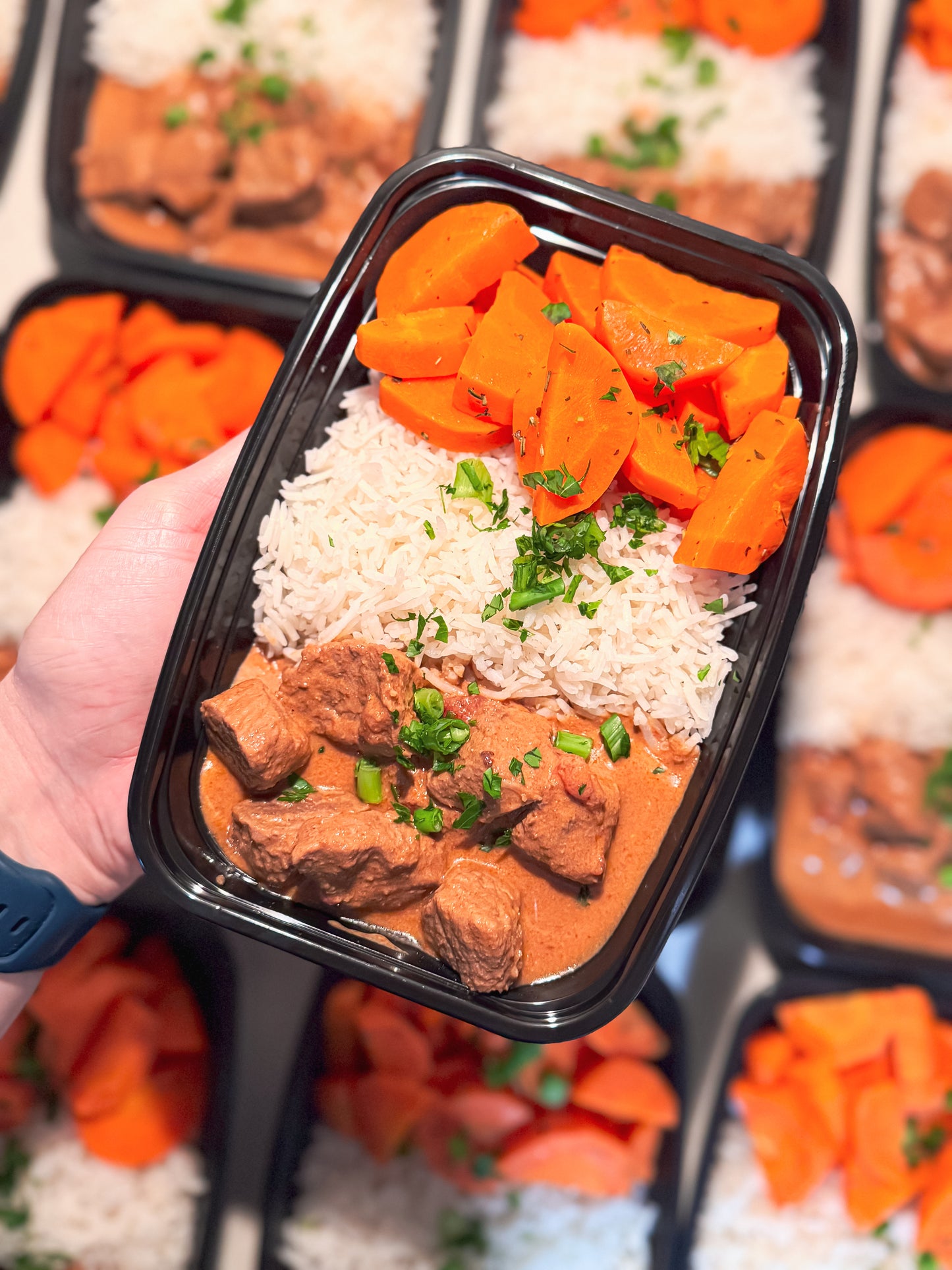 Beef Stroganoff with White Rice & Carrots